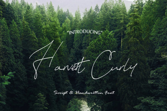 Harvest Curly: A Handwritten Font for Authentic Branding